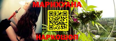 молекула духа Лесосибирск