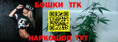 молекула духа Лесосибирск