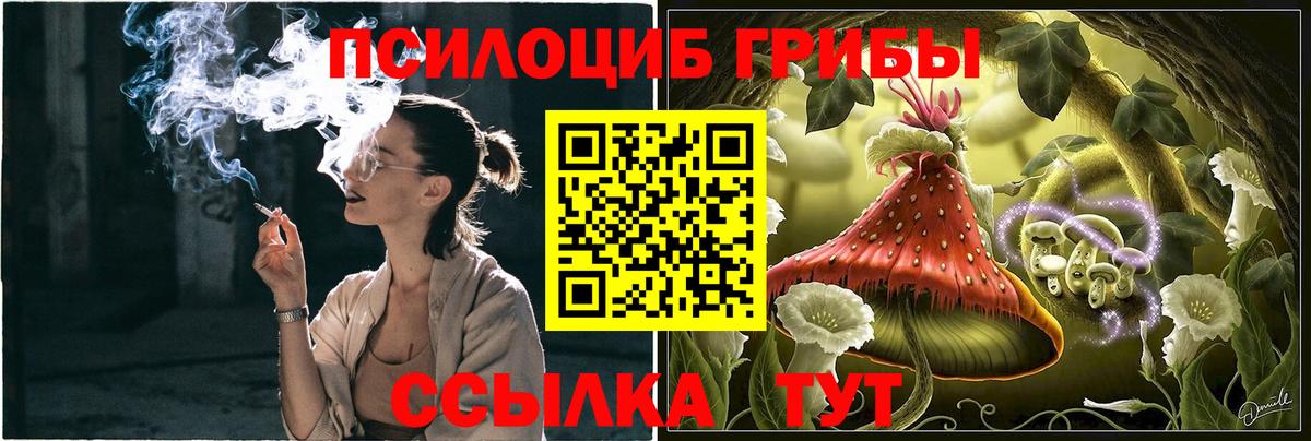 Урюпинск  Псилоцибиновые грибы Psilocybe  Вход с VPN  Псилоцибиновые грибы прущие грибы 