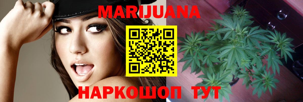 Канабис OG Kush Урюпинск